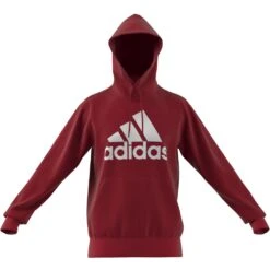 Essentials French Terry Big Logo Hoodie