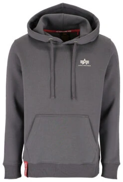 Hoodie "Basic Hoody Small Logo"