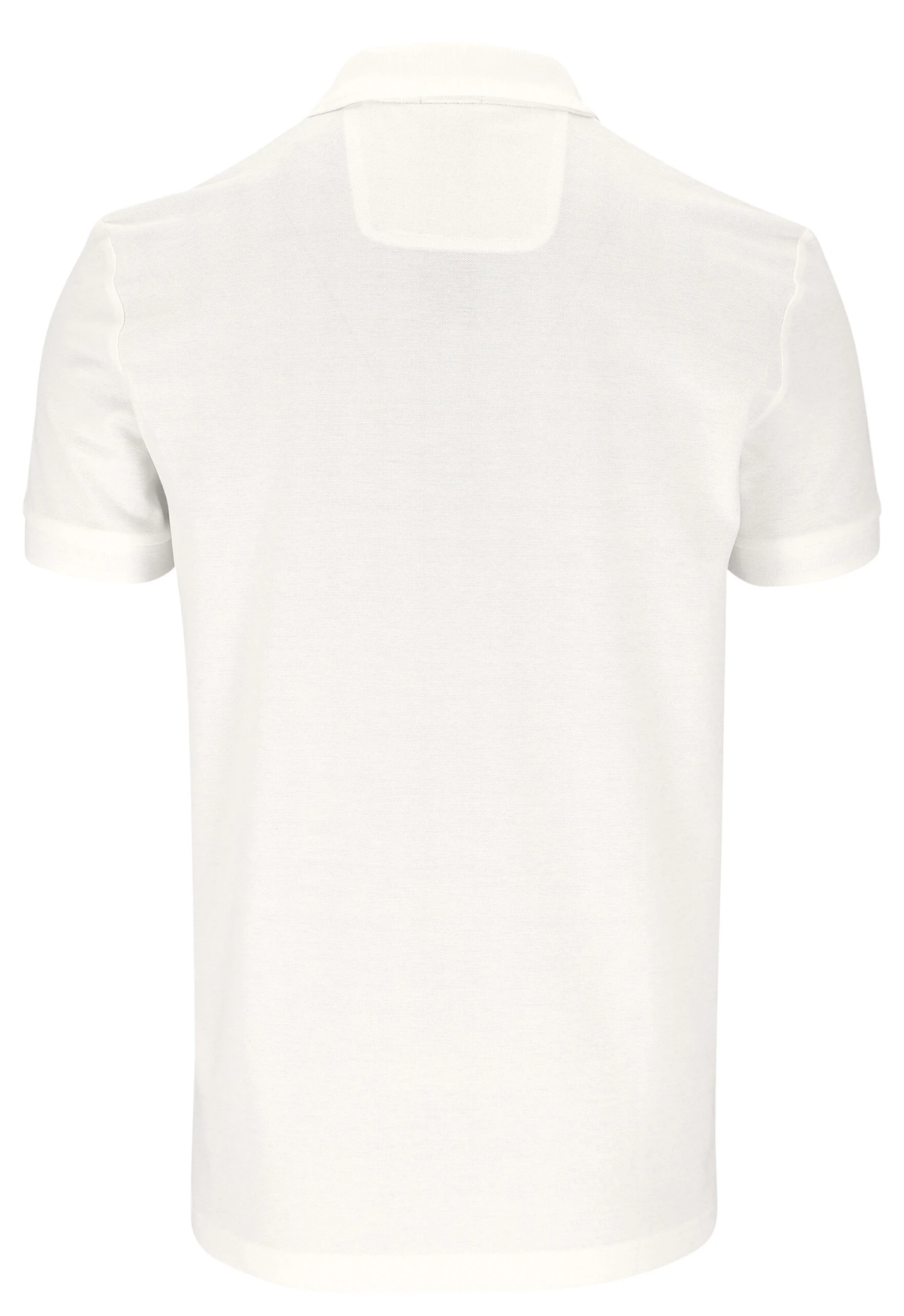 Polo "Pio" – Bild 3