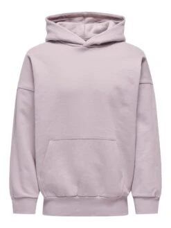 ONSDAN LIFE RLX HEAVY SWEAT HOODIE NOOS